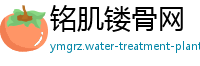 铭肌镂骨网